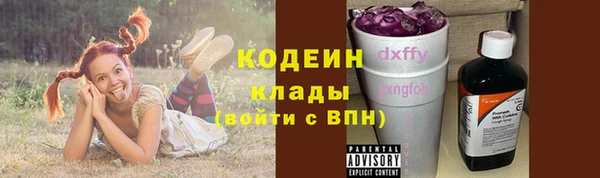 дурь Кинешма