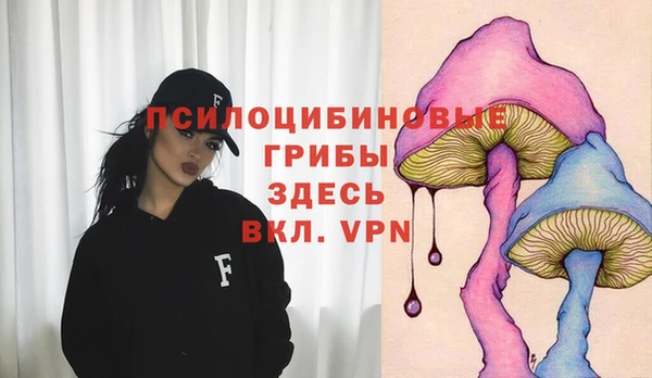 прущая мука Киренск
