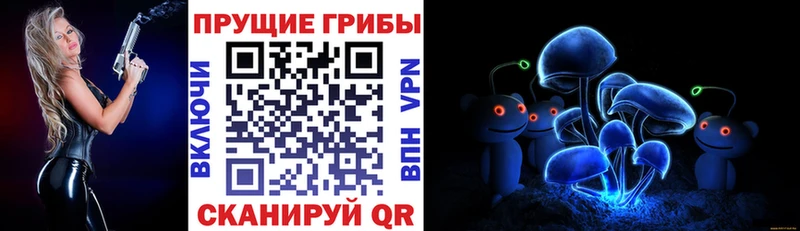 Псилоцибиновые грибы Psilocybine cubensis  blacksprut зеркало  Тольятти 